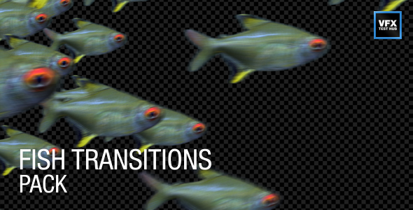 Fish Transitions Pack