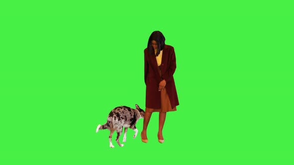African Girl Training Her Border Collie on a Green Screen Chroma Key