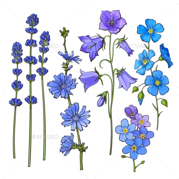 Hand Drawn Blue Flowers - Flowers & Plants Nature