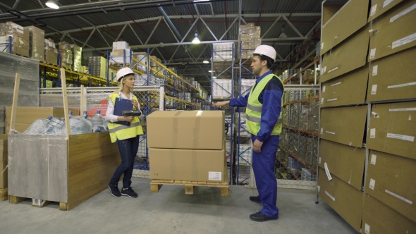Warehouse Workers Check Merchandise, Stock Footage | VideoHive