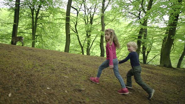 Boy And Girl Play With Deer alt