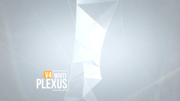 White Clean Plexus Background Pack V4