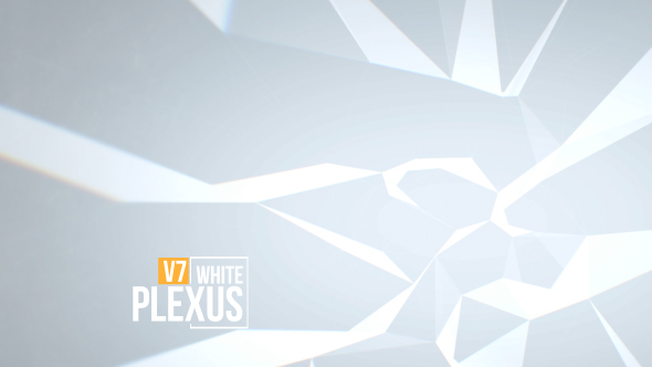 White Clean Plexus Background Pack V7