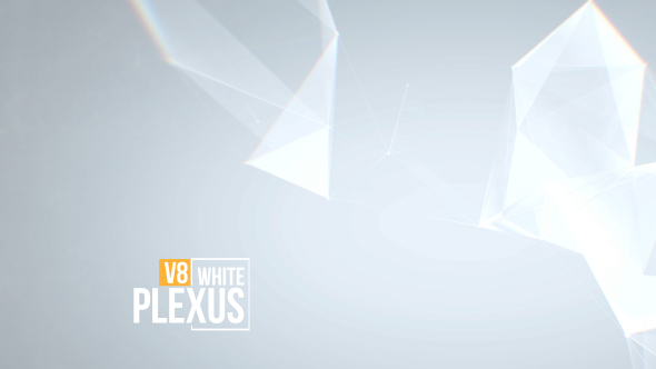 White Clean Plexus Background Pack V8