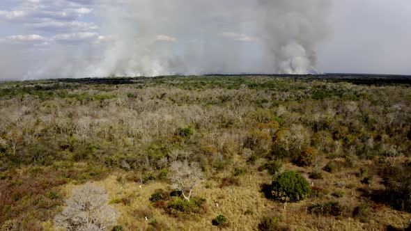 Smoke rising along the horizon of the Brazilian Pantanal and deforestation fires burn the vegetation alt