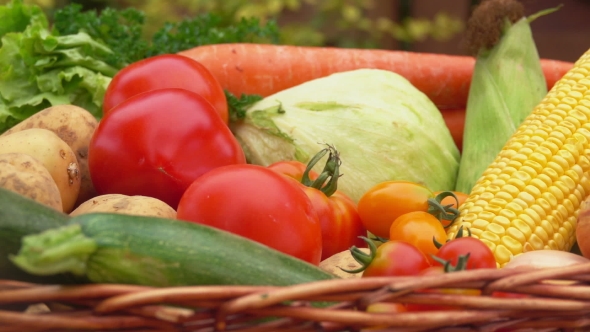 Still Life with Corn, Tomatoes, Potatoes and Onions in the Basket alt
