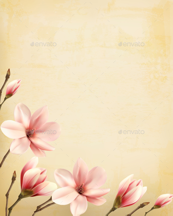 Nature Spring Background with Magnolia Branches - Flowers & Plants Nature