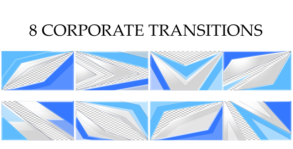 8 Corporate Transition