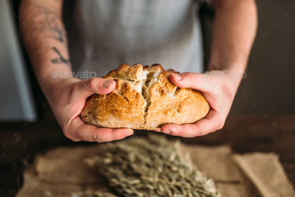 Baker hands breaks in half fresh baked bread loaf - Stock Photo - Images