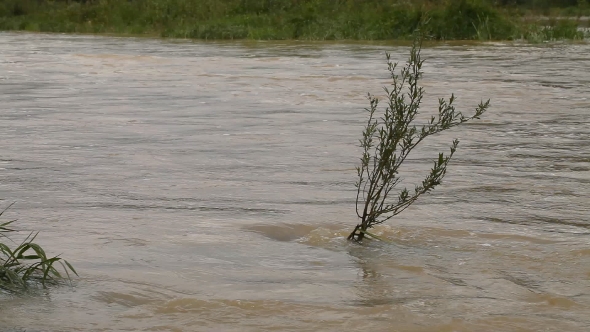River Burst Its Banks. Muddy Water
