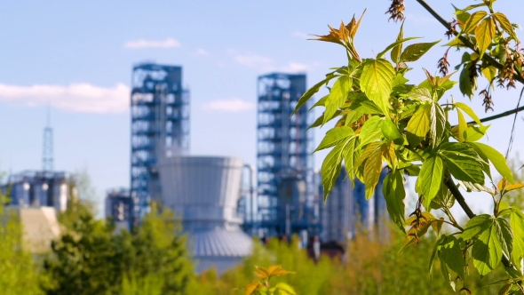 Branch with Green Leaves on the Background Oil Refinery