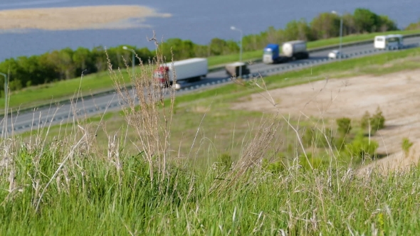 Swaying Grass in the Background of the Highway
