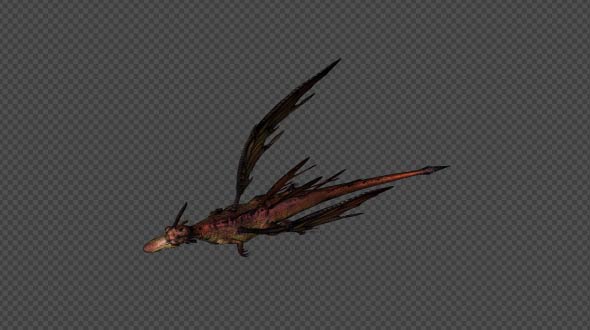 FairyDragon Fly Run Pack 4 In 1