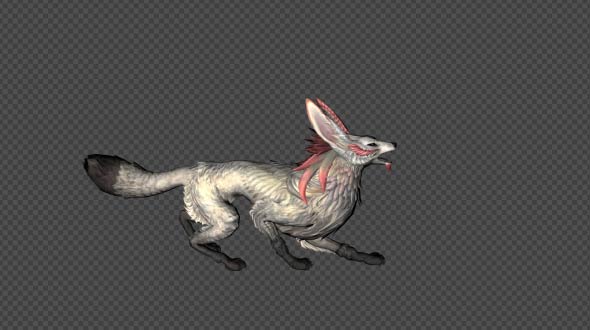 FennecFox Idle Pack03 4 In 1