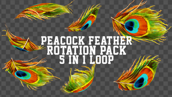 4K Peacock Feather Pack V1 5 in 1