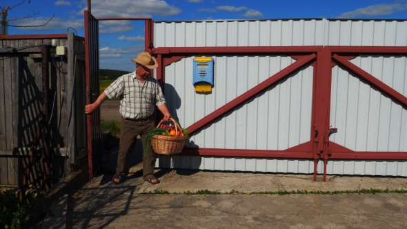 The Old Man Walks Into the Door and Carries a Basket of Fresh Ripe Vegetables alt