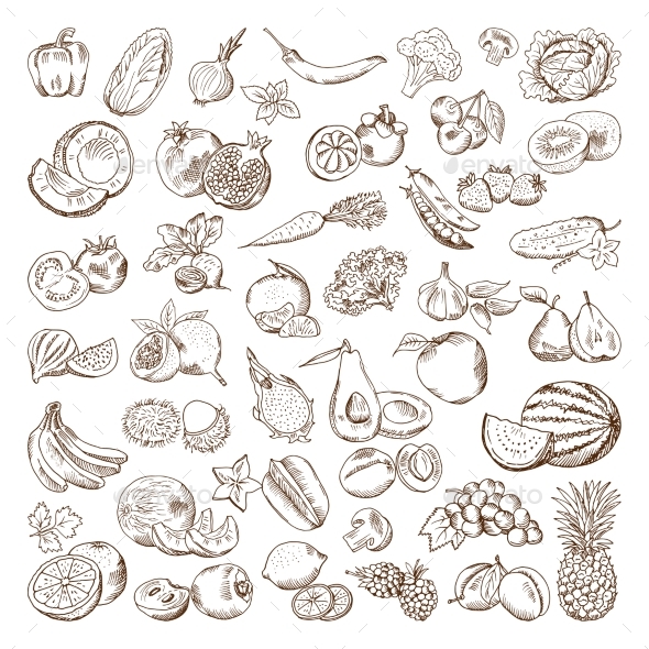 Hand Drawn Pictures of Fruits - Food Objects