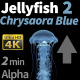 Jellyfish Chrysaora Blue 2 - VideoHive Item for Sale