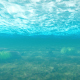 Under Water and Fishes - VideoHive Item for Sale