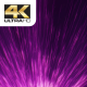 Flowing Purple Streaks - VideoHive Item for Sale