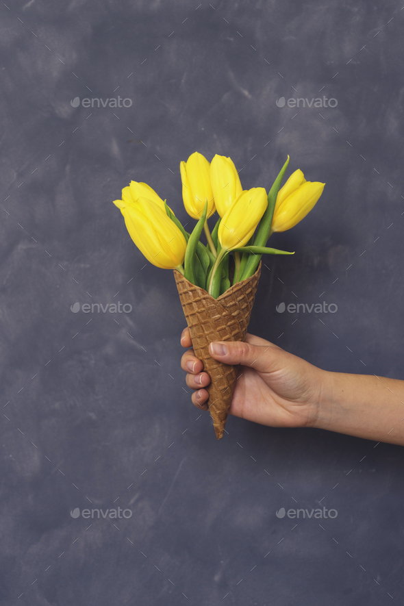 Yellow tulips in ice cream cone in girls hand on cement backgrou
