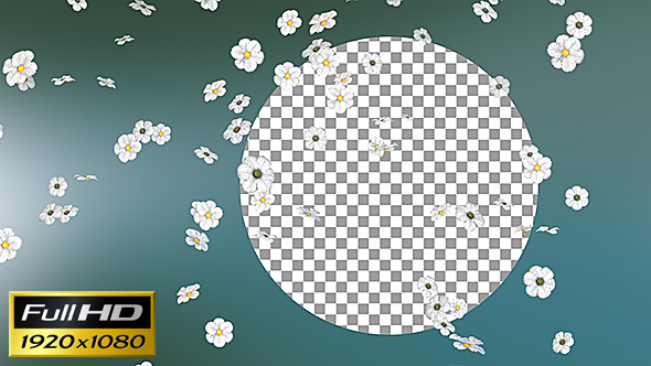 Flowers Falling Loop Background alt
