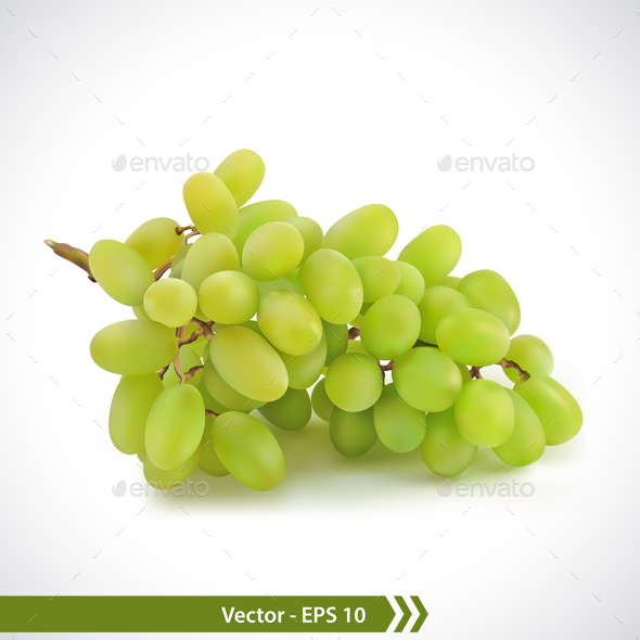 Green Grapes - Food Objects