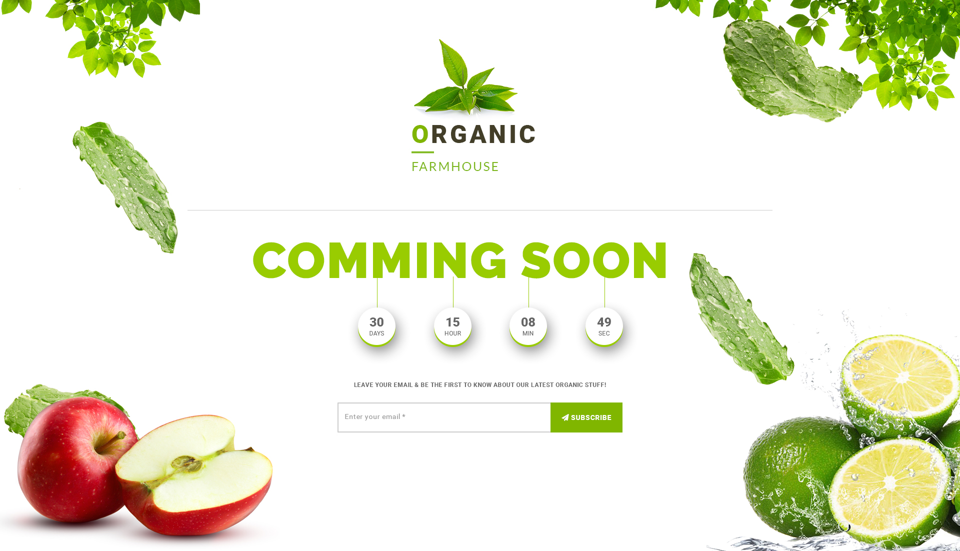 Organic Store PSD Template