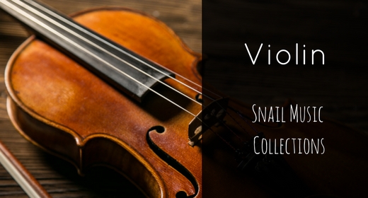 Violin & Cello