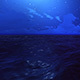 Night Sea Night Sea - VideoHive Item for Sale