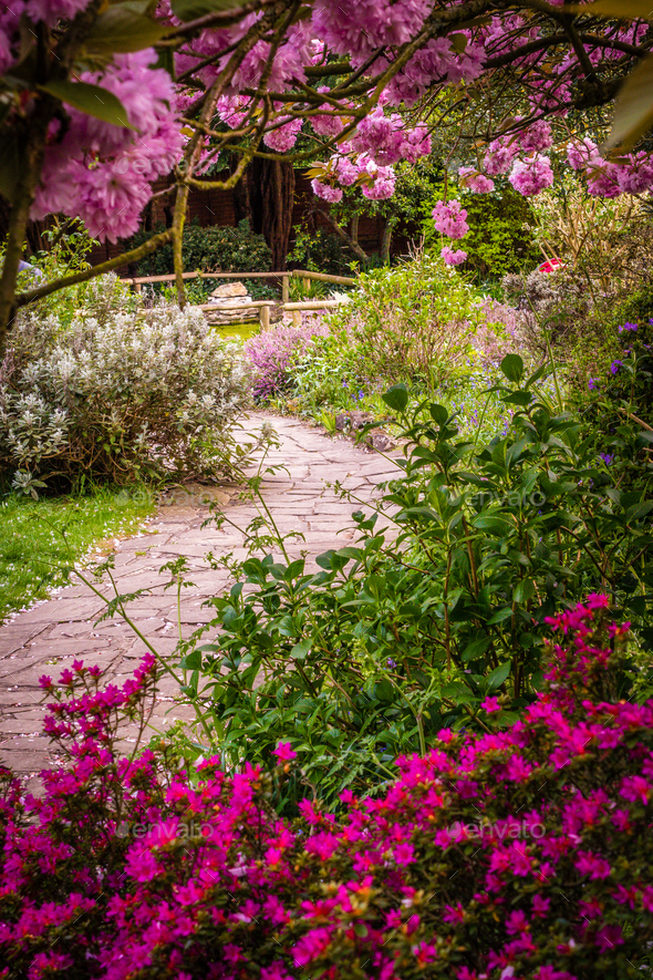 Stony pathway in a park in spring - Stock Photo - Images