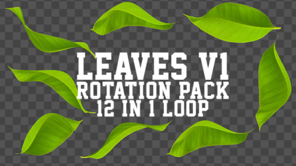 Leaves Rotation Pack V1 12 in 1