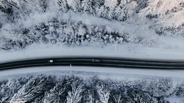 Cars Drive Along Black Highway Across Tranquil Winter Forest alt