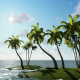 Palm Island - VideoHive Item for Sale