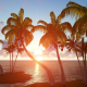 Palms and Sunset - VideoHive Item for Sale