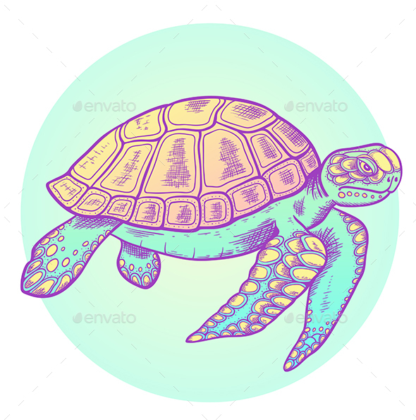 Hand Drawn Sea Turtle - Animals Characters