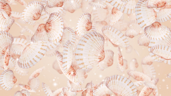 Seashell alt