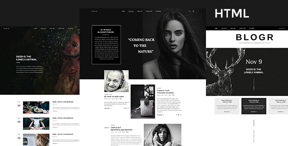 Fabulous BLOGR - HTML Template for Special Bloggers