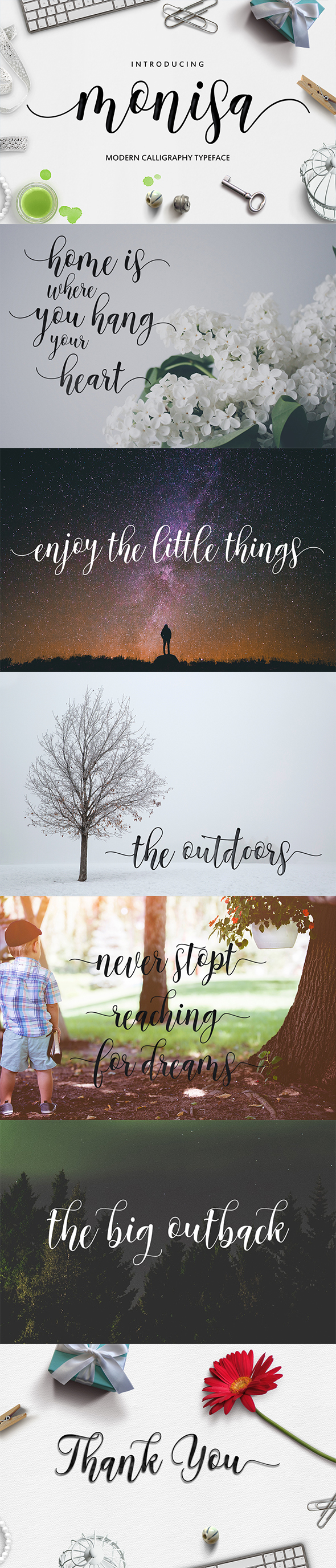 Monisa Script - Script Fonts