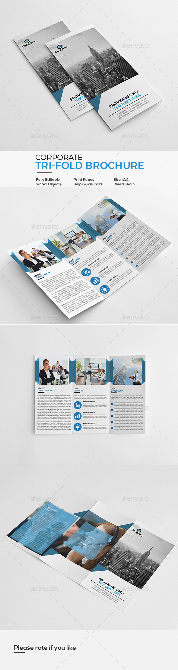Corporate Tri-Fold Brochure - Corporate Brochures