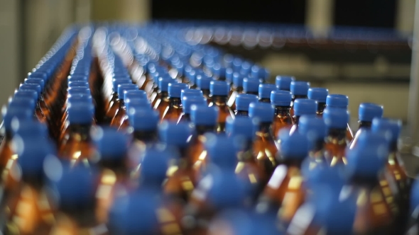 Bottles on a Conveyor Belt Factory