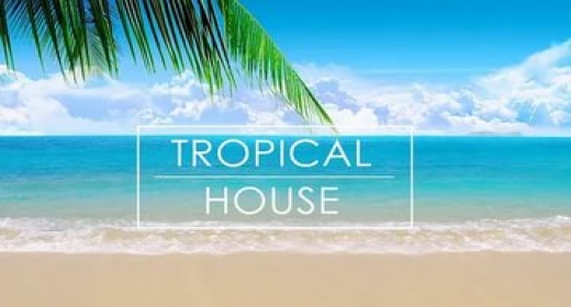 Summer Tropical House