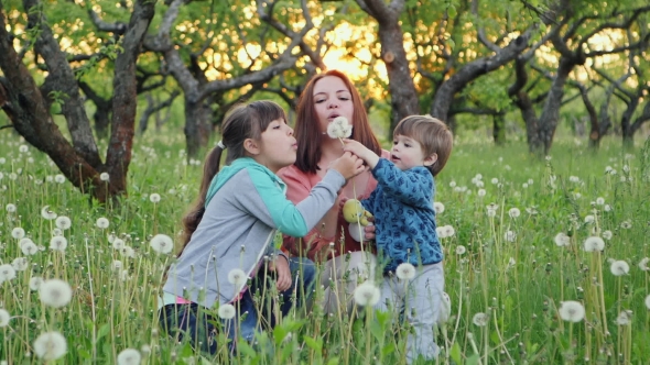Family Playing With Dandelions In the Garden alt