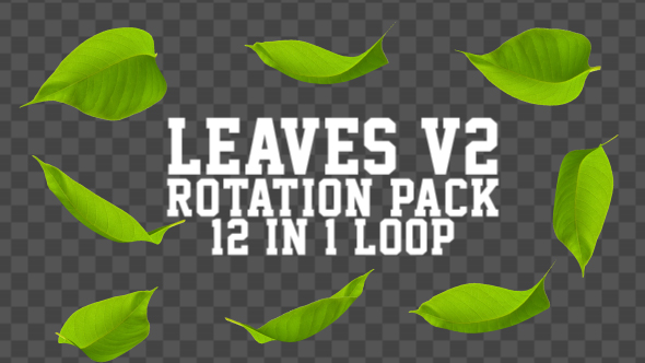 4K Leaves Rotation Pack V2 12 in 1