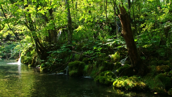 Picturesque Waterfalls Scenery in Plitvice Lakes National Park