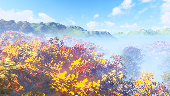 Autumn Trees 4K