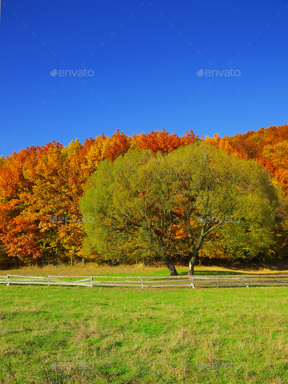 Fall: The season of cozy, delicious, wisdom-inducing rediscovery