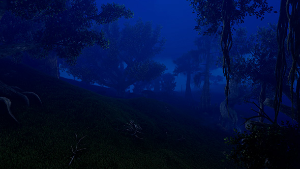 Night Deep Forest