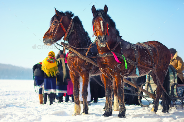 Horses with sledges at the bank of frozen river in wintertime Stock Photo by Pilat666