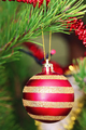 Photo of Abstract Christmas tree lights | Free christmas images